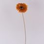 Konstgjord gerbera TUNGUSKA, torkad look, orange, 55cm, Ø11cm