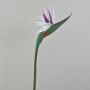 Konstgjord paradisfågelblomma CHAYA, vit-violett, 80cm, 13x21cm