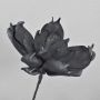 Konstgjord magnolia av plastskum AMILIE, glitter, svart, 30cm, Ø26cm