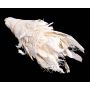 Naturlig kokosfiber ABENA, vit, 220g
