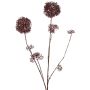 Konstgjord skimmia-gren LOBUS, mörkröd, 90cm, Ø4-8,5cm