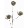 Konstgjord kvist nålkudde Protea KAPO med glitter, olivgrön, 85cm, Ø8cm