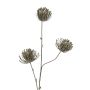 Konstgjord kvist nålkudde Protea KAPO med glitter, olivgrön, 85cm, Ø8cm