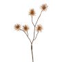 Konstgjord trollhassel-gren NUMBAT med blommor, orange, 70cm, Ø6cm