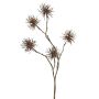Konstgjord trollhassel-gren NUMBAT med blommor, brun, 70cm, Ø6cm