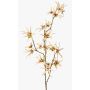 Konstgjord trollhasselgren ORAFA med blommor, beige, 80cm, Ø4-8cm