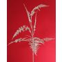 Dekorativ Asparagus plumosus-gren GIONA, silver, 85cm