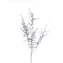 Konstgjord Asparagus acutifolius-gren PARNASO, silver, 100cm