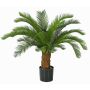 Dekorationspalm Cycas SLITAL, 80cm