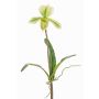 Konstgjord Paphiopedilum-orkidé VELANA, på pinne, grön-vit, 40cm