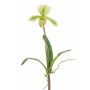 Konstgjord Paphiopedilum-orkidé VELANA, på pinne, grön-vit, 40cm