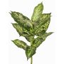 Konstgjord Dieffenbachia VISP, svårantändlig, stickpinne, grön-vit, 40cm