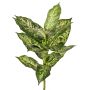 Konstgjord Dieffenbachia VISP, svårantändlig, stickpinne, grön-vit, 40cm