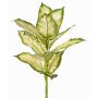 Konstgjord Dieffenbachia VISP, svårantändlig, med stödpinne, grön-krämfärgad, 40cm
