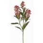 Konstgjord skimmia-gren LAUSANA med blommor, mauve, 65cm, Ø7cm