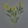 Konstgjord skimmia-gren LAUSANA med blommor, grön, 65cm, Ø7cm