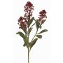 Konstgjord skimmie-gren LAUSANA med blommor, vinröd, 65cm, Ø7cm