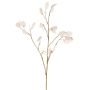 Konstväxt, gren av Lunaria KONIA, krämfärgad, 95cm