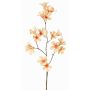 Konstgjord blomkvist, jasmintrumpet AURINA, persika, 90cm