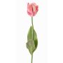 Konstgjord papegojatulpan UAKARI, rosa-krämfärgad-grön, 65cm, Ø6cm