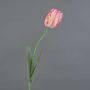 Konstgjord papegojatulpan UAKARI, rosa-krämfärgad-grön, 65cm, Ø6cm