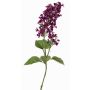 Dekorativ kvist, syren ADMIR, mörkvioletta, 80cm, Ø6-9cm