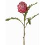 Konstgjord protea BREGANSA, gammaldagsrosa, antika cerise, 65cm, Ø7cm