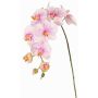 Dekorativ gren med Phalaenopsis-orkidé WESA, rosa-vit, 90cm, Ø11-12,5cm