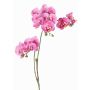 Konstgjord blomkvist, Phalaenopsis-orkidé VILLANI, rosa-cerise, 60cm, Ø3,5-5cm