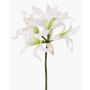 Konstgjord blomma trädgårdsamaryllis KUSTANA, vit-grön, 70cm, Ø10-16cm