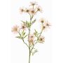 Konstgjord prästkrage KORNELA, ljusrosa, 70cm, Ø6cm