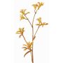 Dekorativ kängurublomma LEOBER, gul-orange, 75cm, Ø4-8cm