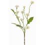 Konstgjord ängsflockblomma HOLLA, vit, 55cm, Ø3-4cm