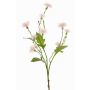 Konstgjord ängsflockblomma HOLLA, blekrosa, 55cm, Ø3-4cm