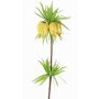 Konstgjord blomma kejsarkrona IMST, gul, 65cm, Ø11cm