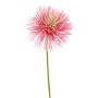Konstgjord krysantemum NANDITA, rosa-krämfärgad, 60cm, Ø15cm