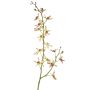 Konstgjord Cattleya-orkidégren TRASSA, ljusgrön-röd, 80cm, Ø4-8cm