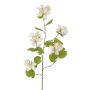 Konstgjord blomkvist Bauhinia ENSANA, vit, 120cm