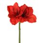 Konstgjord amaryllis NARWELA, röd, 70cm, Ø10-13cm