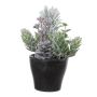 Dekorativt arrangemang med gran, humle, vinterbär VIANNO, snöklädd, dekorativ kruka, grön-vit, 14cm, Ø11cm