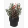 Konstgjord blomsterarrangemang med gran och skenbär NIAM, dekorativ kruka, grön-röd, 14cm, Ø8cm
