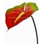 Konstgjord flamingoblomma MOIRA, röd-grön, 75cm, 13x18cm