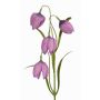 Konstgjord schackbrädesblomma SANEM, lila, 45cm, Ø3cm