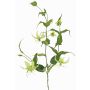 Konstgjord segerkronblomma KINTARO, grön, 120cm