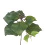 Konstgjord murgröna-gren MYKEL, grön, 25cm