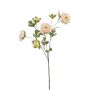 Konstgjord gren med ranunkel DAVELLA, rosa-krämfärgad, 80cm