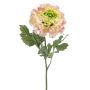 Konstgjord ranunkel ULISAN, rosa-grön, 60cm, Ø14cm