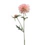 Konstgjord kvist av skabiosa BASOLO, rosa-krämfärgad, 55cm