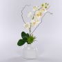 Konstgjord orkidé Phalaenopsis TIALDA, suckulenter, keramikvas, vit, 50cm