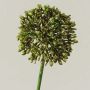 Konstgjord allium HELLA, glitter, grön-guld, 45cm, Ø8cm